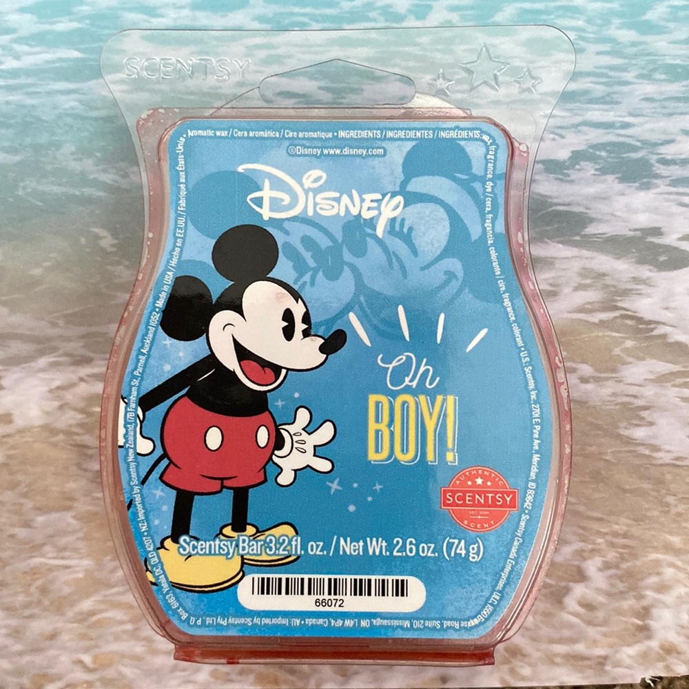 Oh Boy! Scentsy Bar